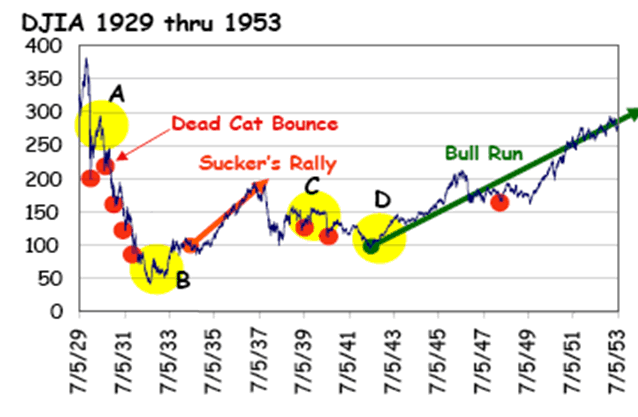 dead cat bounce stock market today
