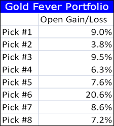 Gold Fever Portfolio