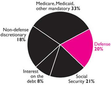 the government's deceptive pie chart