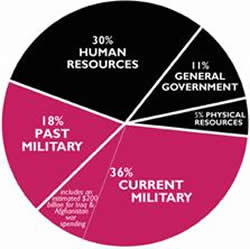 FY2009 federal piechart