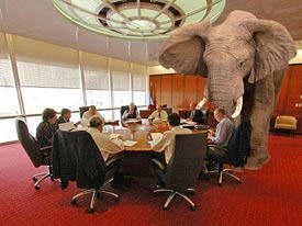 Elephant in the Room