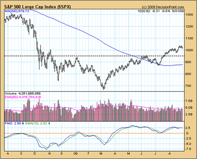 S&P 500 Large Cap Index