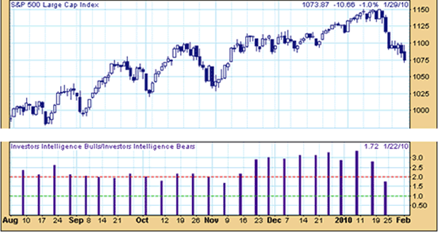 S&P 500 Large Cap Index