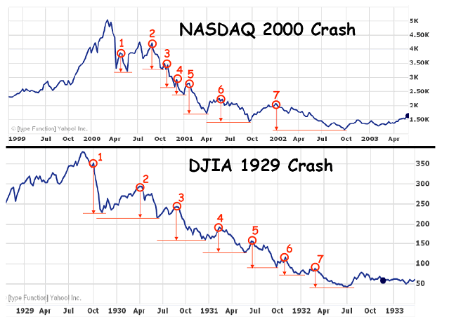 dead cat stock market