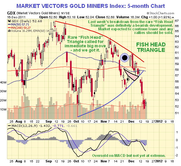 Market vectors Gold Miners 5-Month Chart