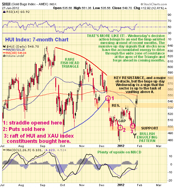 HUI Index 7-Month Chart