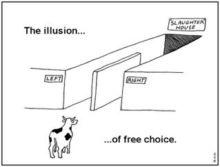 illusion of choice