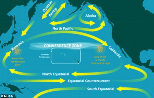 Essay on tsunami in japan 2011