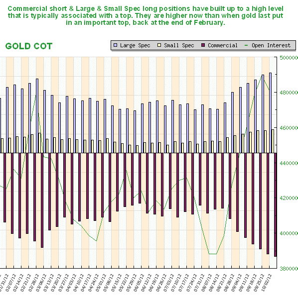 Gold COT