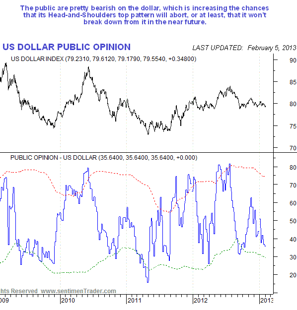 US Dollar Public Opinion