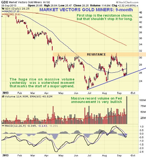 GDX Market Vectors Gold Miners NYSE