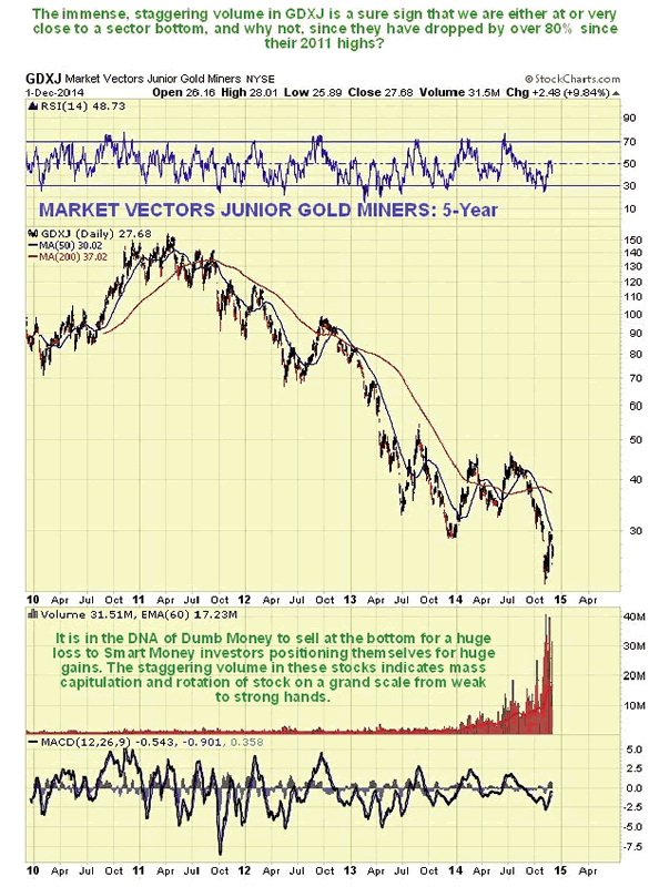 Market Vectors Junior Gold Miners 5-Year Chart