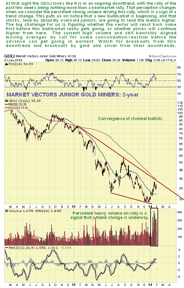 Market Vectors Junior Gold Miners Daily Chart