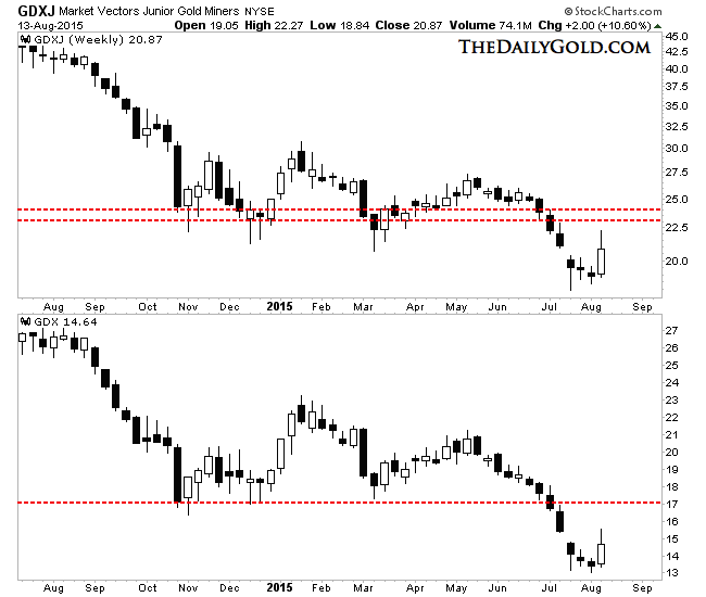 Market Vectors Junior Gold Miners Daily Chart