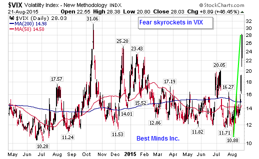 VIX Daily Chart