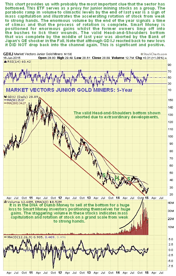 Market Vectors junior Gold Miners 5-Year Chart