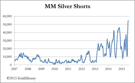 MM Silver Shorts