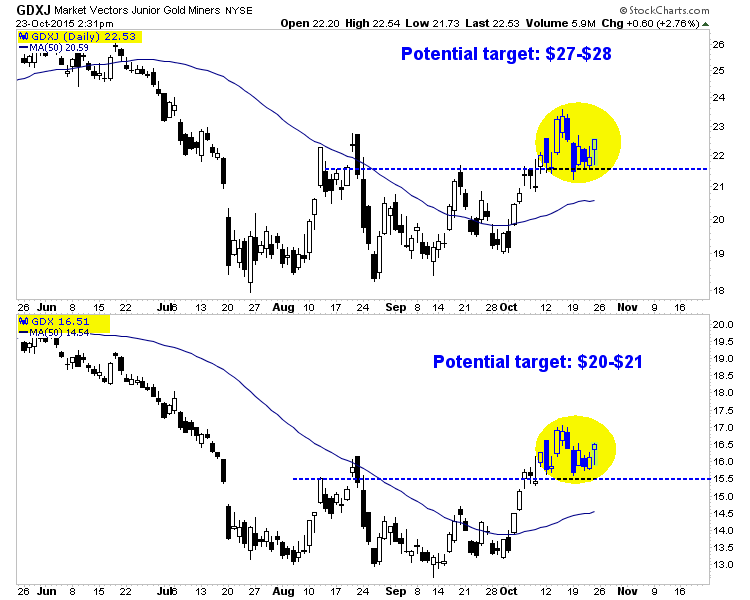 Market Vectors Gold Miners and Junior Gold Miners Daily Chart 1