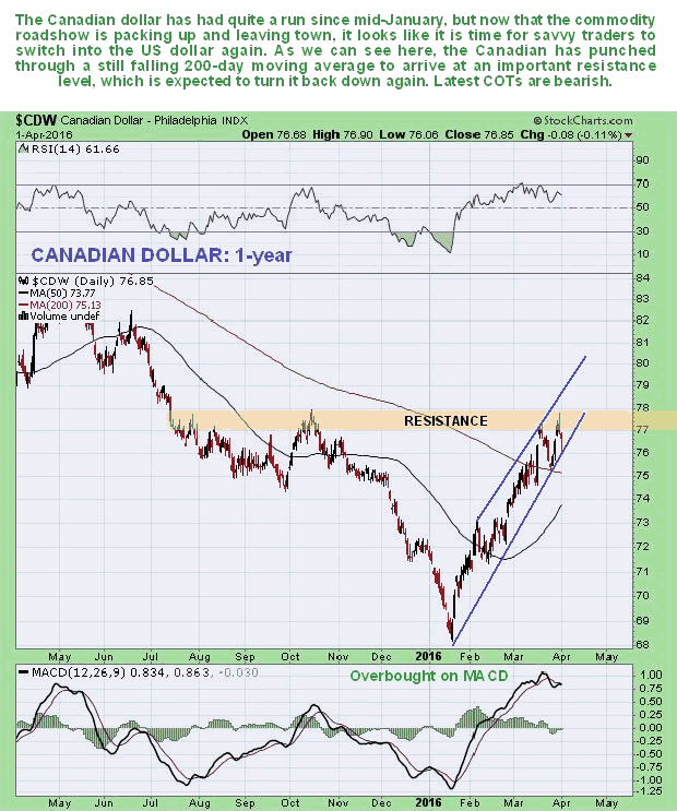 Canadian Dollar Daily 1-Year Chart