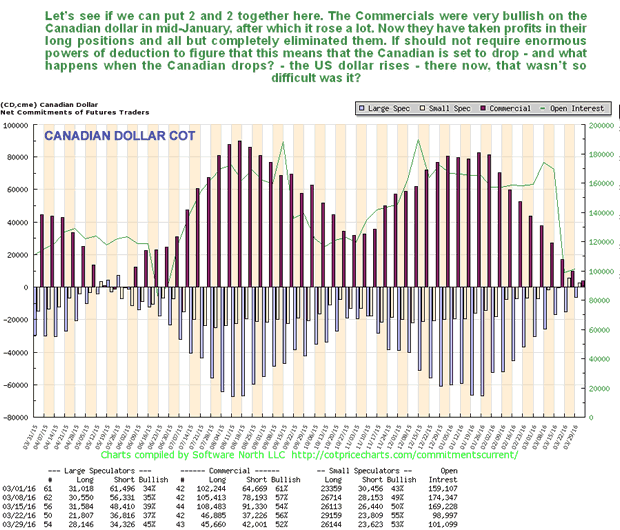 Canadian Dollar COT