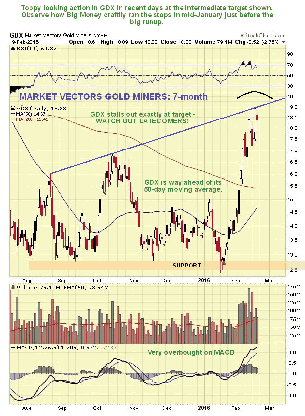 Market Vectors Gold Miners ETF 7-Month Chart