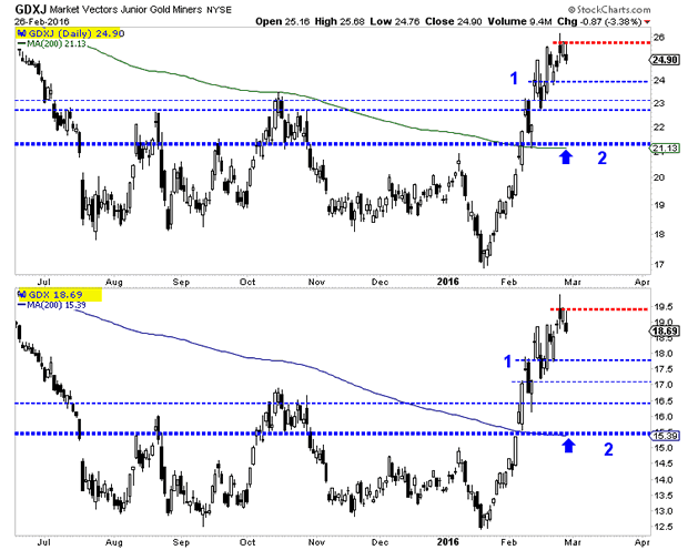 Market Vectors Gold Miners and Junior Gold Miners Daily Charts