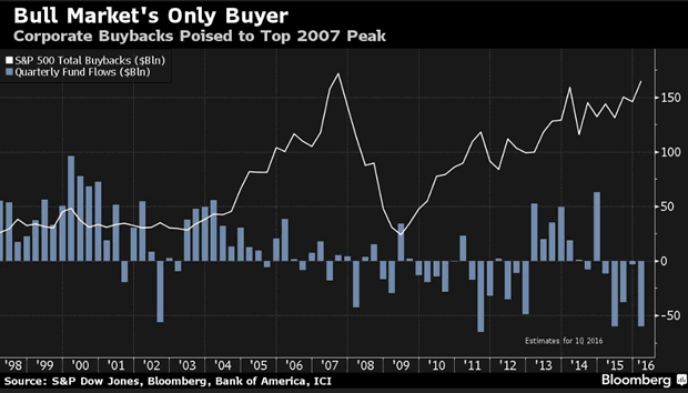 Bull Market's Only Buyer