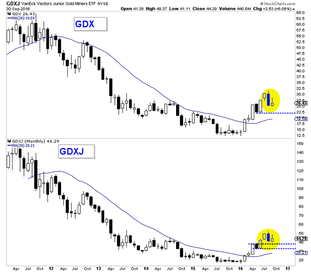 Market Vectors Gold Miners and Junior Gold Miners Monthly Chart