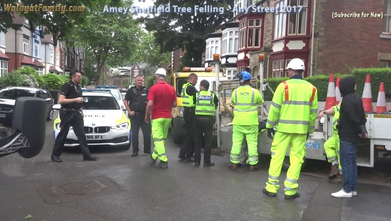 Sheffield Street Trees - Amey / Labour City Council Tree Felling 2017