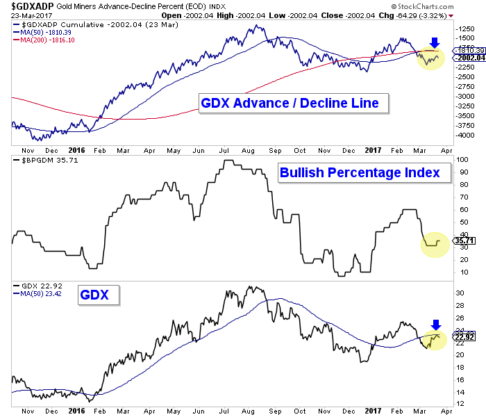 Gold Miners Advance-Decline Percent - Cumulative