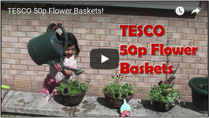 TESCO 50p Flower Baskets!