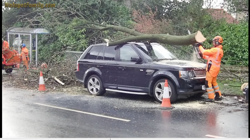 Range Rover vs Huge Tree Branch Falling on its Roof - Land Rover UK Storm Weather 