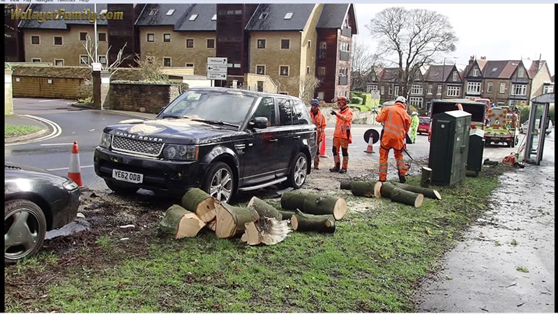 Range Rover vs Huge Tree Branch Falling on its Roof - Land Rover UK Storm Weather 