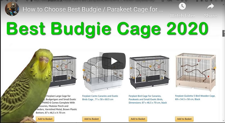 How to Choose Best Budgie / Parakeet Cage for Your Birds 2020