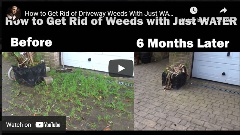 How to Get Rid of Driveway Weeds With Just WATER! 6 Months later NO Weeds, Ultimate Killer!