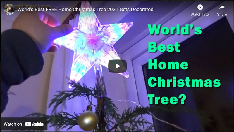 World's Best FREE Home Christmas Tree Gets Decorated!