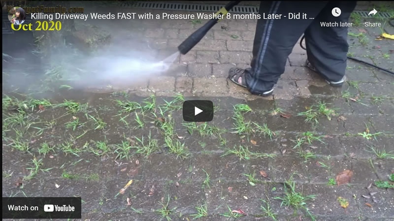 Killing Driveway Weeds FAST with a Pressure Washer - 8 months Later - Did it work?- Block Paving Weeds
