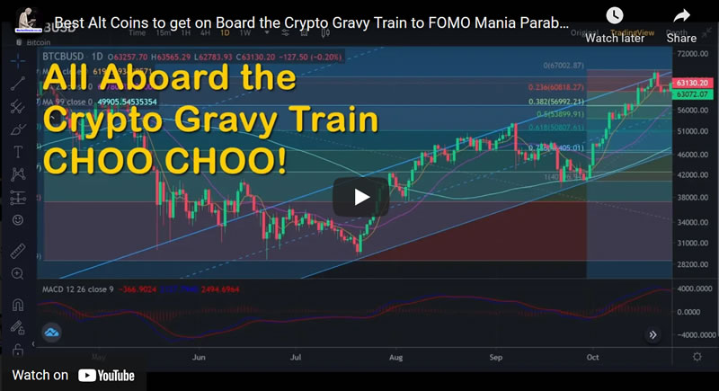 Best Alt Coins for All Aboard the Crypto Gravy Train to FOMO Mania Parabolic Highs 2022