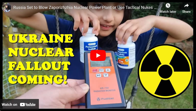 Russia Set to Blow Zaporizhzhia Nuclear Power Plant or Use Tactical Nukes - Act Now to Protect 
