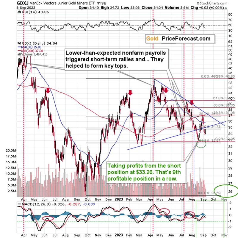 Gold’s and Gold Stocks’ Loud Silence - Image 1