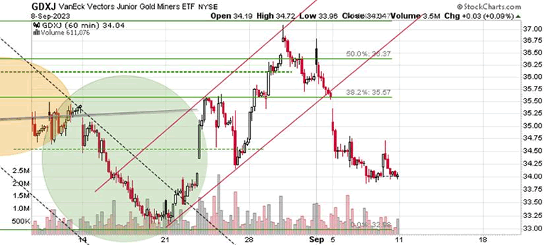 Gold’s and Gold Stocks’ Loud Silence - Image 3