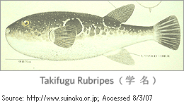 Fugu Fish