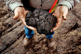 Tar sands oil needs to be 'upgraded' before it can be processed by most refineries. 