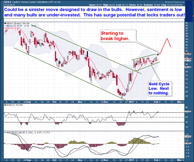 VanEck Vectors Junior Gold Miners ETF Daily Chart