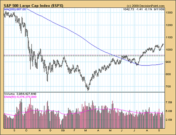 S&P 500 Large Cap Index