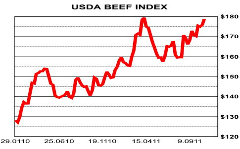 USDA Beef Index
