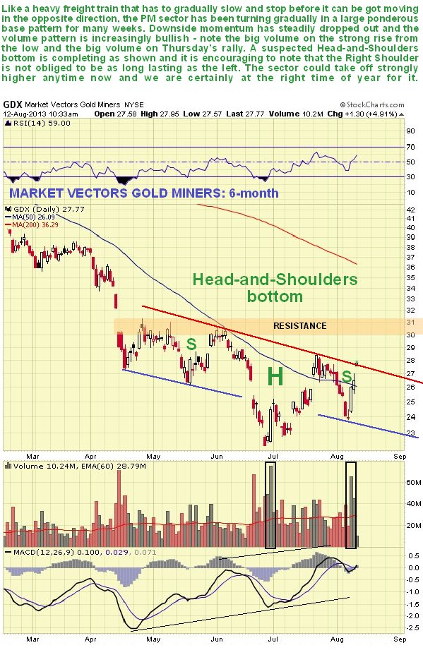 Market vectors Gold Miners Chart