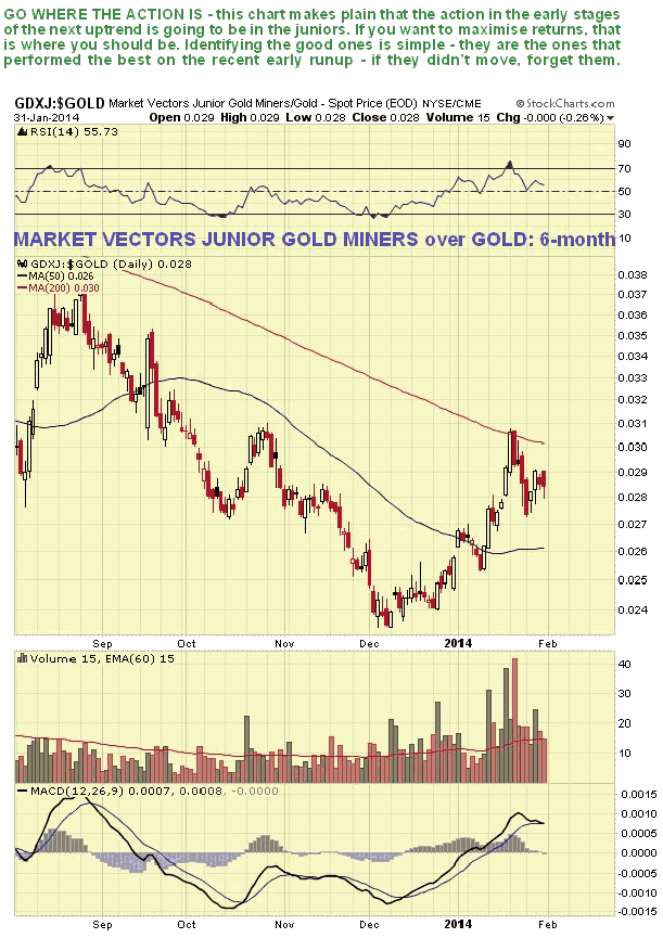 GDXJ:Gold Daily Chart