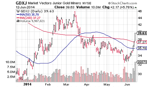 GDXJ Market Vectors Junior Gold Miners NYSE