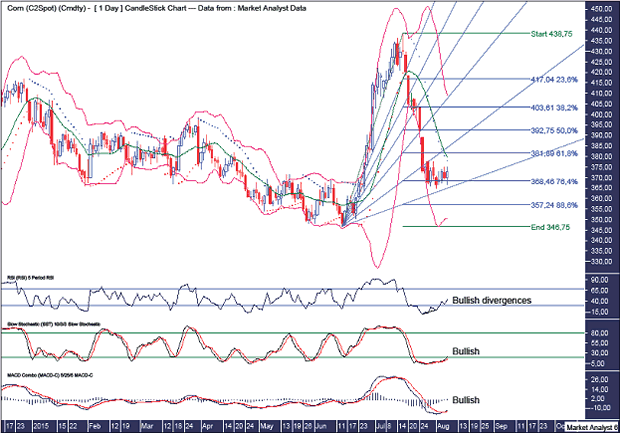 Corn Daily Chart